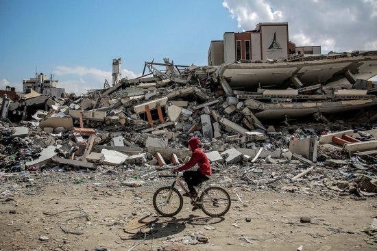 The destruction of Gaza’s universities