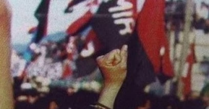 Movement of the Revolutionary Left in 1973