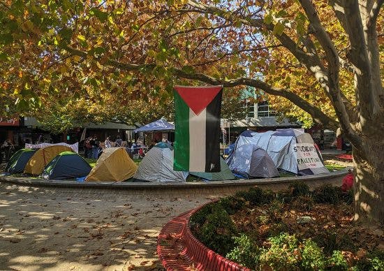 Lessons from the student encampments