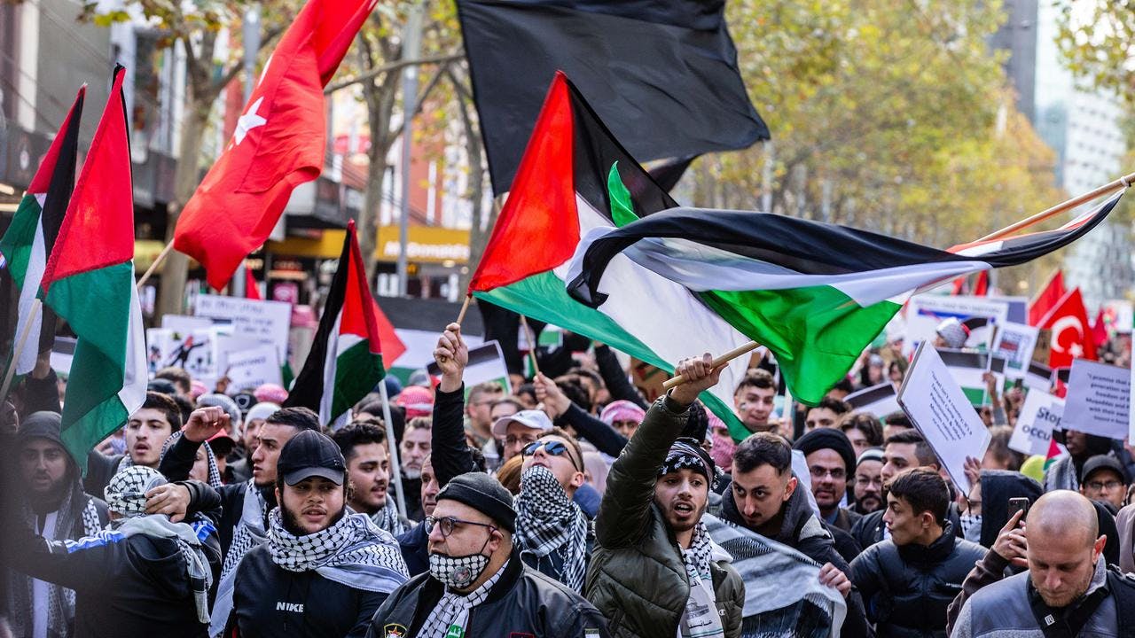 Why the global movement for Palestine matters