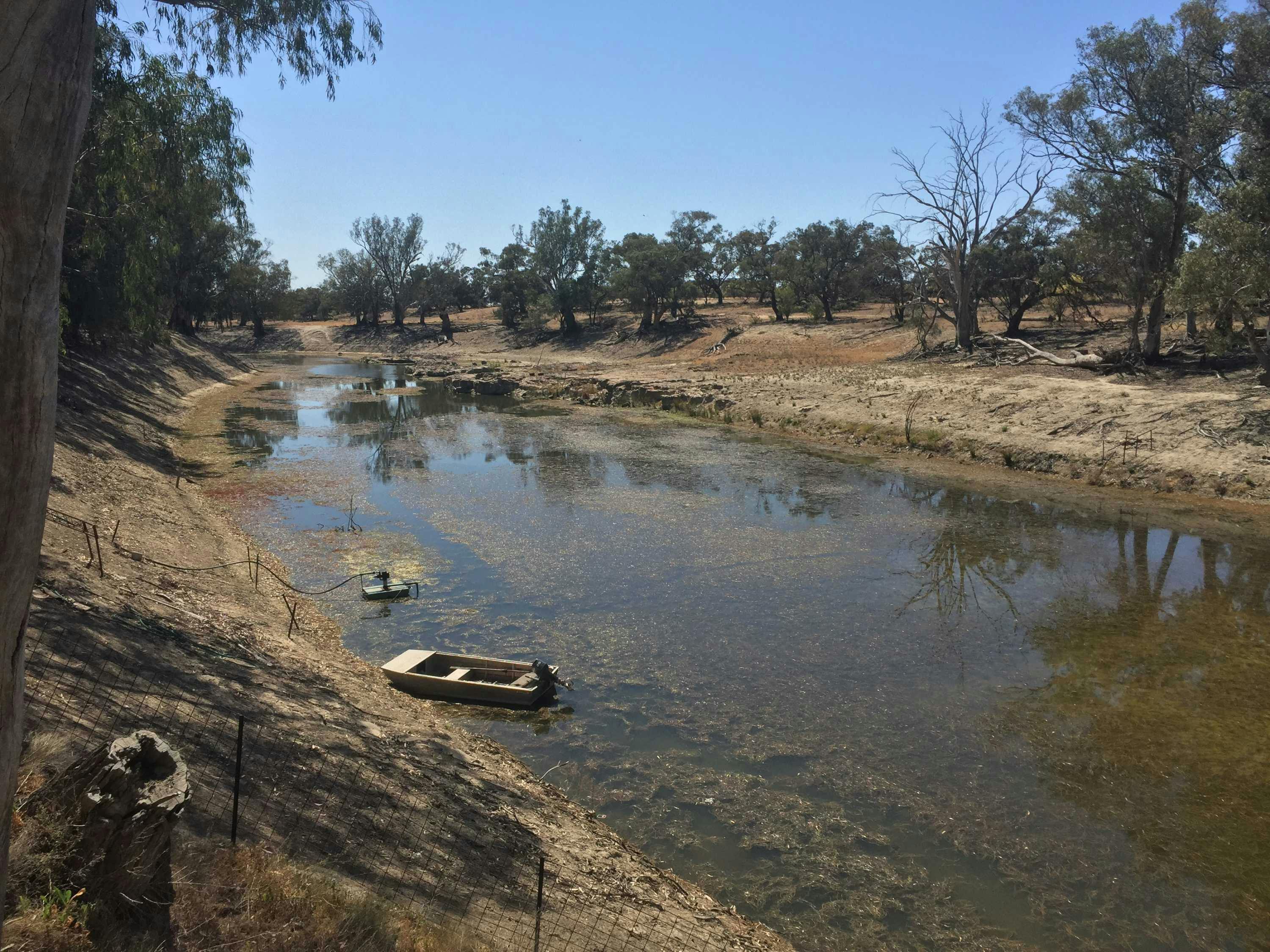 How capitalism is killing the Murray-Darling Basin