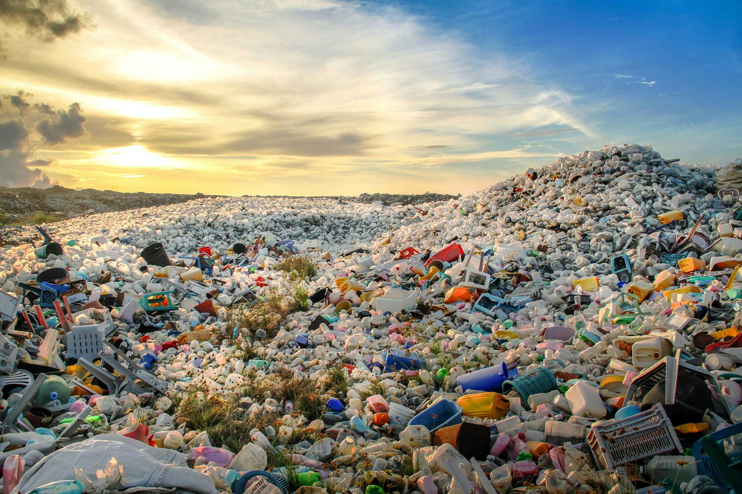 Plastic capitalism is killing the planet