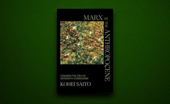 Thinking about ecology with Marx – A review of Kohei Saito’s 'Marx in the Anthropocene'