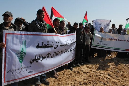 How Israel strangles Palestine’s democratic resistance