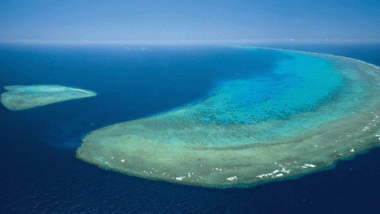 Barrier Reef under threat