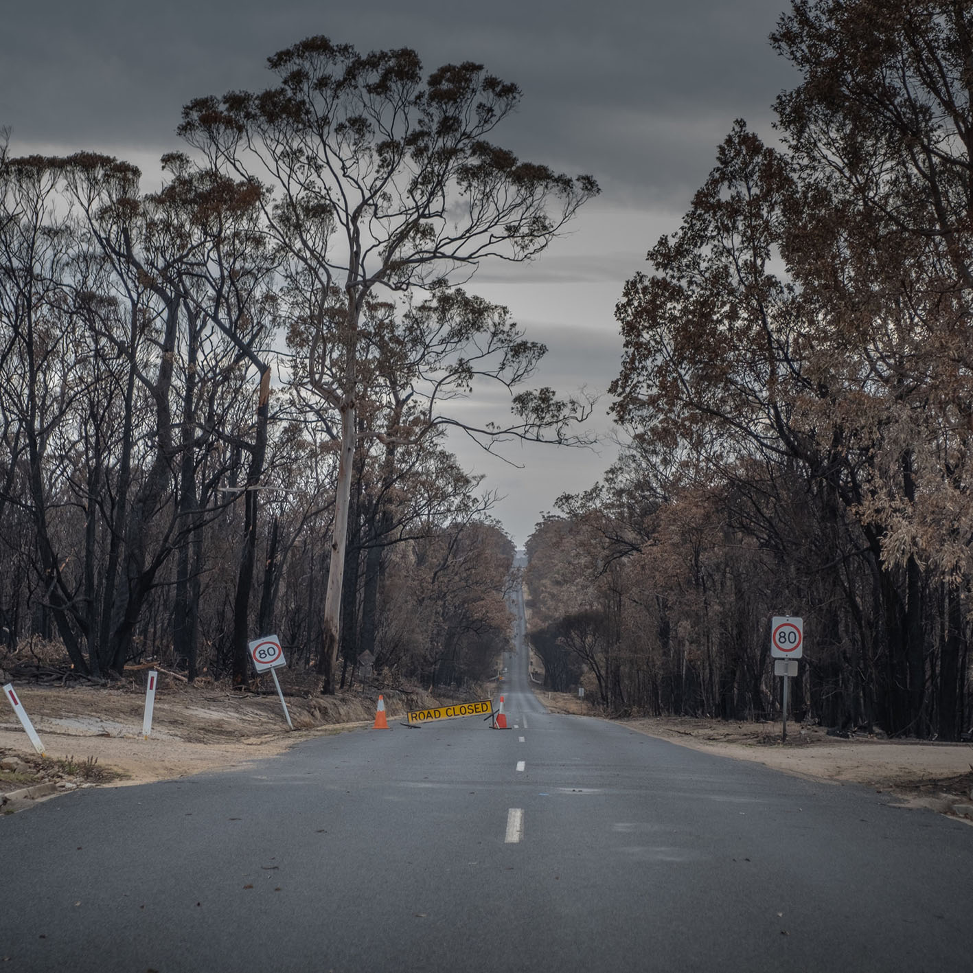 A road through scorched forest near Mallacoota